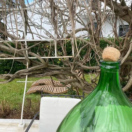 Stefs Place Gasthuis Pjescana Uvala