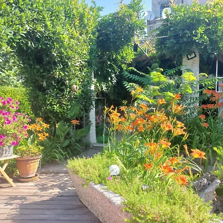 Gasthuis Stefs Place 3*