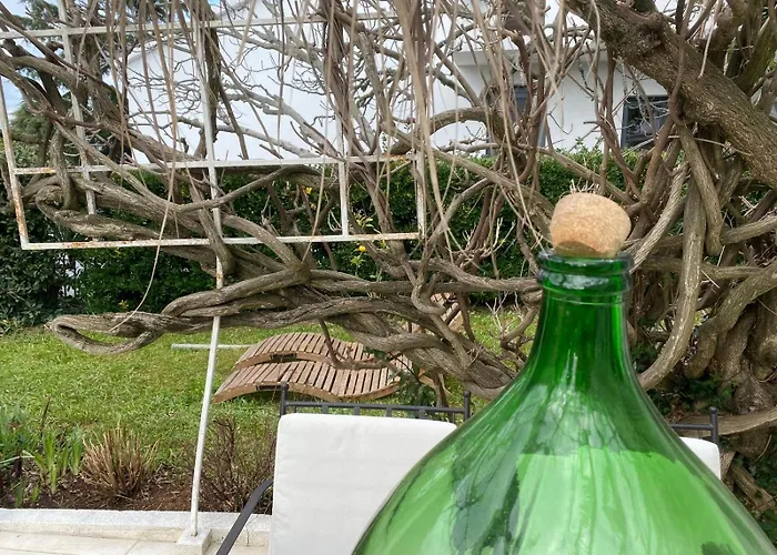 Stefs Place 게스트하우스 프예스차나 우발라