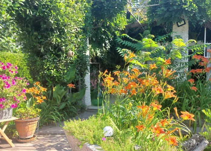 게스트하우스 Stefs Place 3*